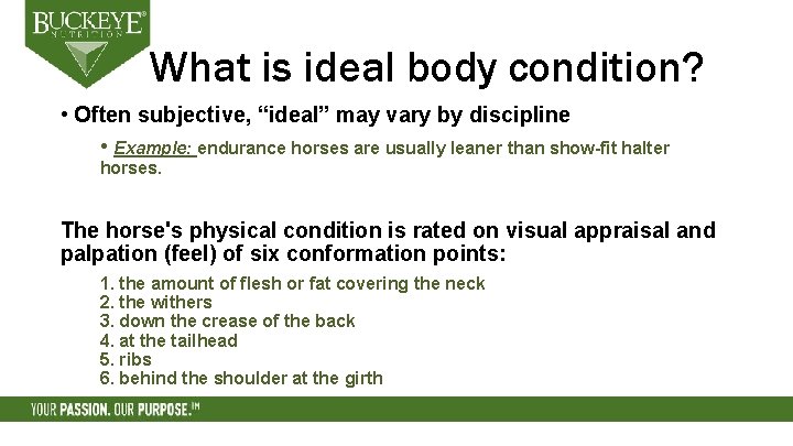 What is ideal body condition? • Often subjective, “ideal” may vary by discipline •