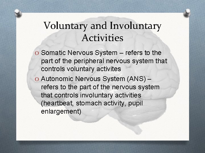 Voluntary and Involuntary Activities O Somatic Nervous System – refers to the part of