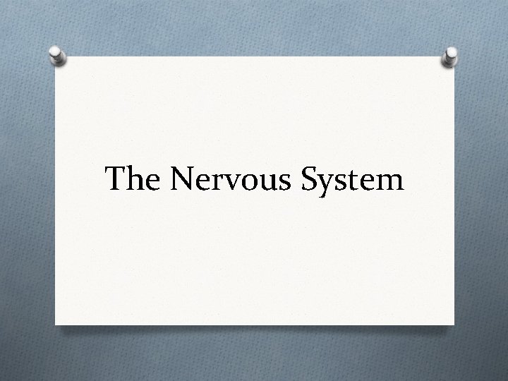 The Nervous System 