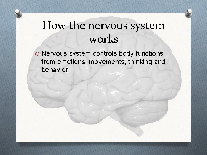 How the nervous system works O Nervous system controls body functions from emotions, movements, How the nervous system works O Nervous system controls body functions from emotions, movements,