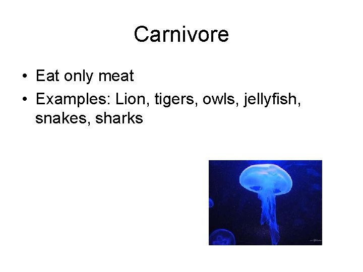 Carnivore • Eat only meat • Examples: Lion, tigers, owls, jellyfish, snakes, sharks 