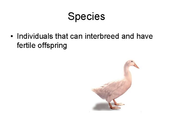 Species • Individuals that can interbreed and have fertile offspring 