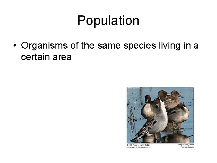 Population • Organisms of the same species living in a certain area 