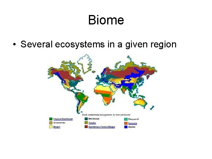 Biome • Several ecosystems in a given region 