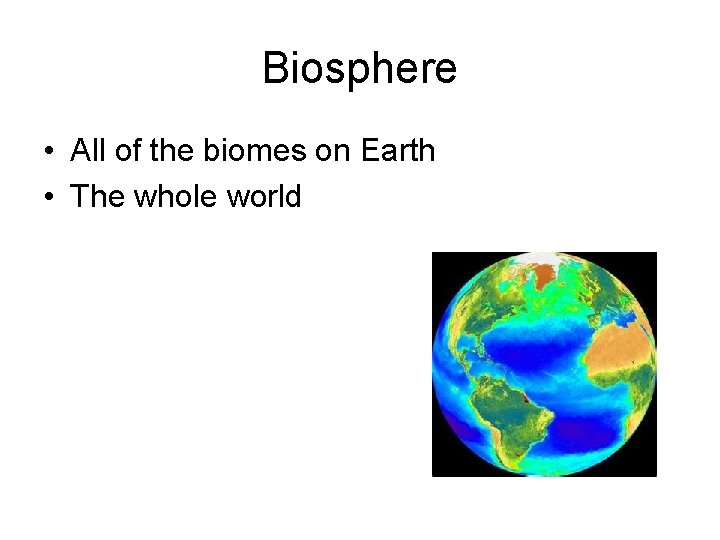 Biosphere • All of the biomes on Earth • The whole world 