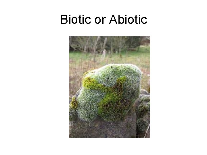 Biotic or Abiotic 