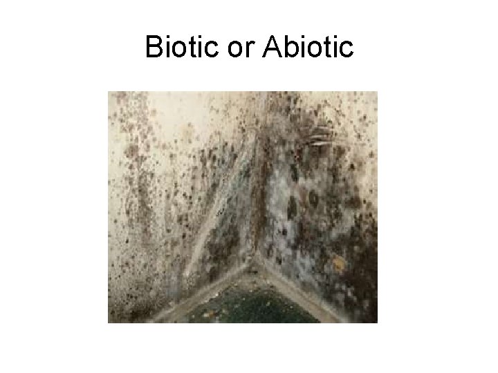 Biotic or Abiotic 