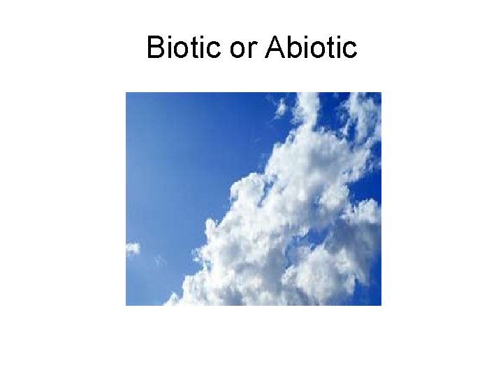 Biotic or Abiotic 