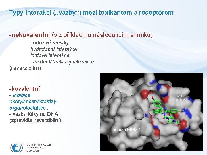 Typy interakcí („vazby“) mezi toxikantem a receptorem -nekovalentní (viz příklad na následujícím snímku) vodíkové