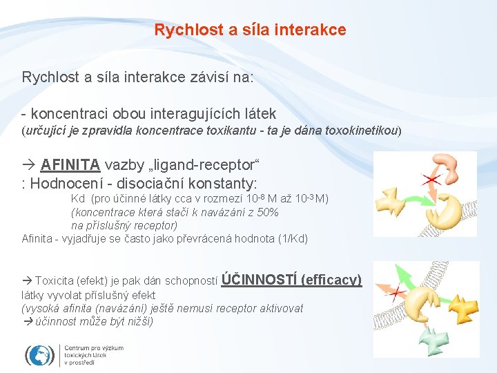 Rychlost a síla interakce závisí na: - koncentraci obou interagujících látek (určující je zpravidla