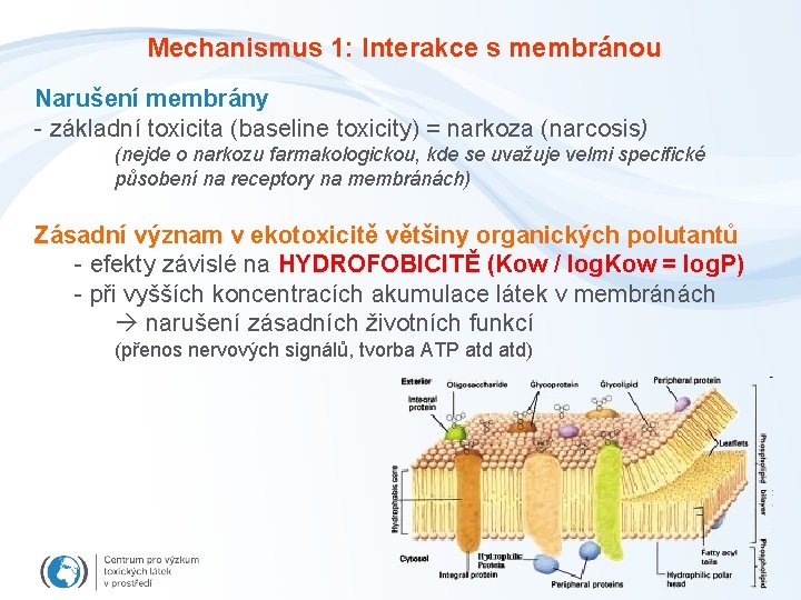 Mechanismus 1: Interakce s membránou Narušení membrány - základní toxicita (baseline toxicity) = narkoza