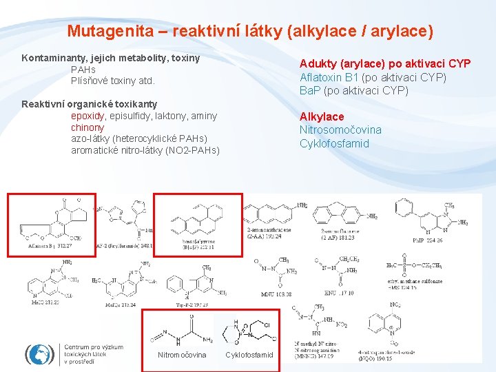 Mutagenita – reaktivní látky (alkylace / arylace) Kontaminanty, jejich metabolity, toxiny PAHs Plísňové toxiny