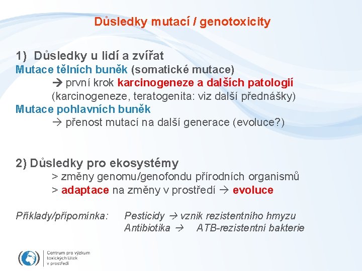 Důsledky mutací / genotoxicity 1) Důsledky u lidí a zvířat Mutace tělních buněk (somatické