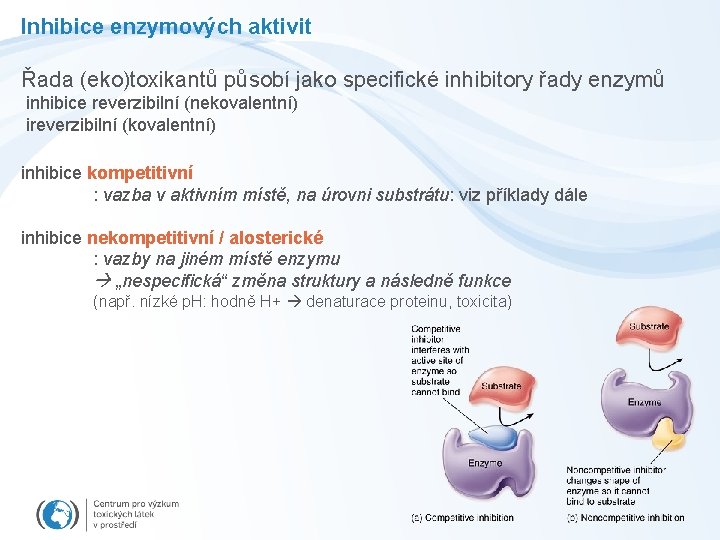 Inhibice enzymových aktivit Řada (eko)toxikantů působí jako specifické inhibitory řady enzymů inhibice reverzibilní (nekovalentní)