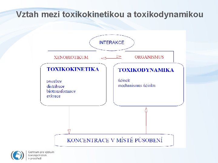 Vztah mezi toxikokinetikou a toxikodynamikou 