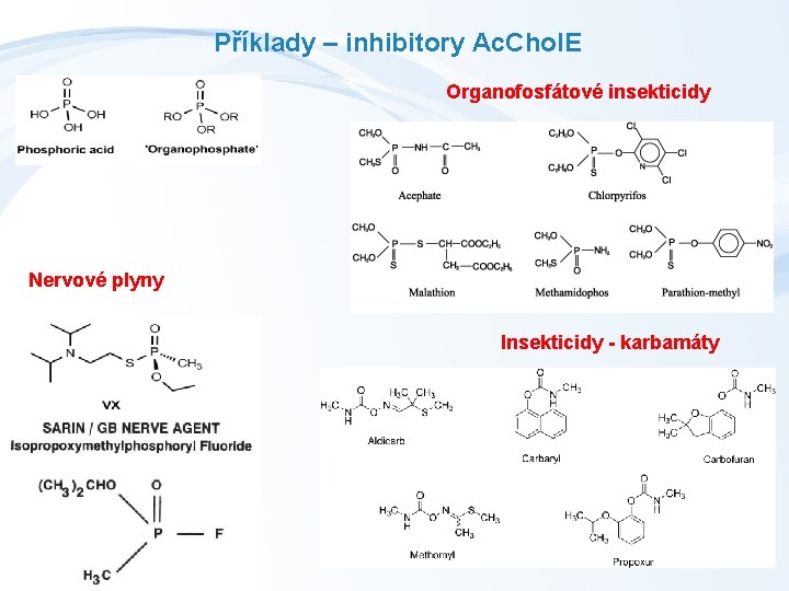 Příklady – inhibitory Ac. Chol. E Organofosfátové insekticidy Nervové plyny Insekticidy - karbamáty 