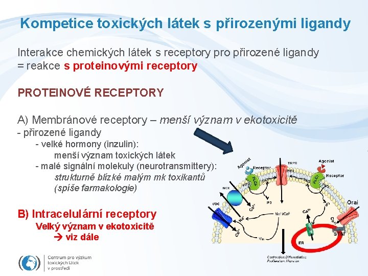 Kompetice toxických látek s přirozenými ligandy Interakce chemických látek s receptory pro přirozené ligandy