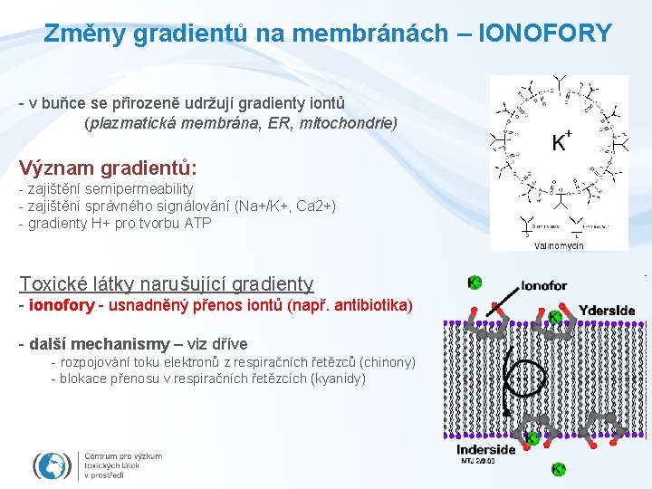 Změny gradientů na membránách – IONOFORY - v buňce se přirozeně udržují gradienty iontů