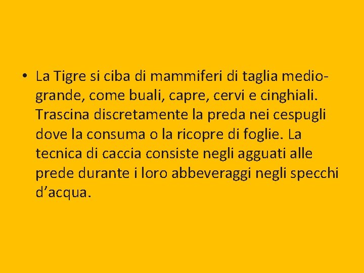  • La Tigre si ciba di mammiferi di taglia mediogrande, come buali, capre,