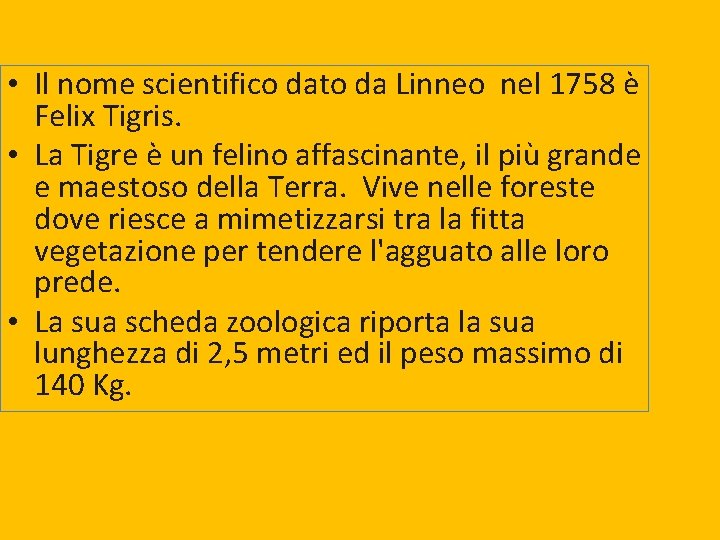  • Il nome scientifico dato da Linneo nel 1758 è Felix Tigris. •