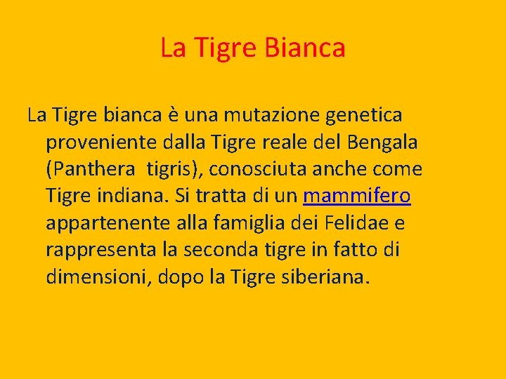 La Tigre Bianca La Tigre bianca è una mutazione genetica proveniente dalla Tigre reale