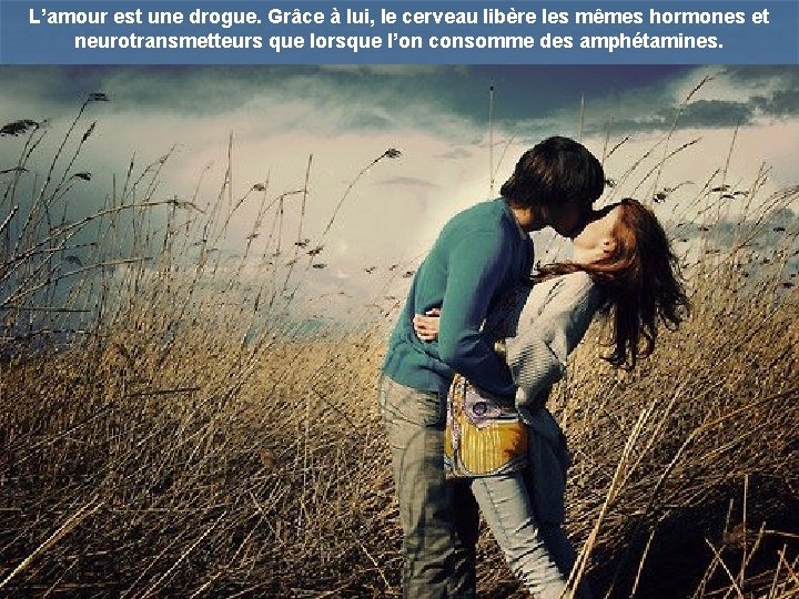 L’amour est une drogue. Grâce à lui, le cerveau libère les mêmes hormones et