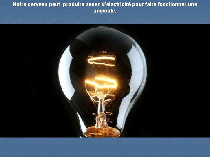 Notre cerveau peut produire assez d’électricité pour faire fonctionner une ampoule. 