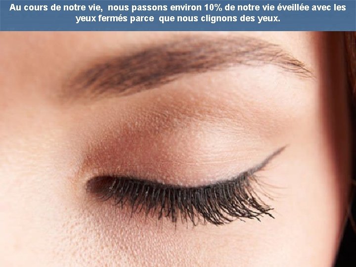 Au cours de notre vie, nous passons environ 10% de notre vie éveillée avec