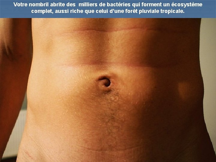 Votre nombril abrite des milliers de bactéries qui forment un écosystème complet, aussi riche