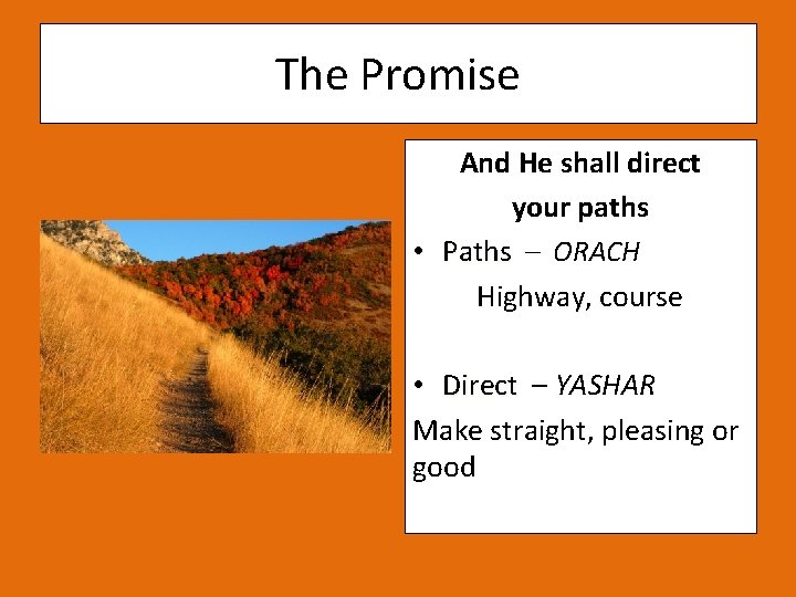 The Promise And He shall direct your paths • Paths – ORACH Highway, course