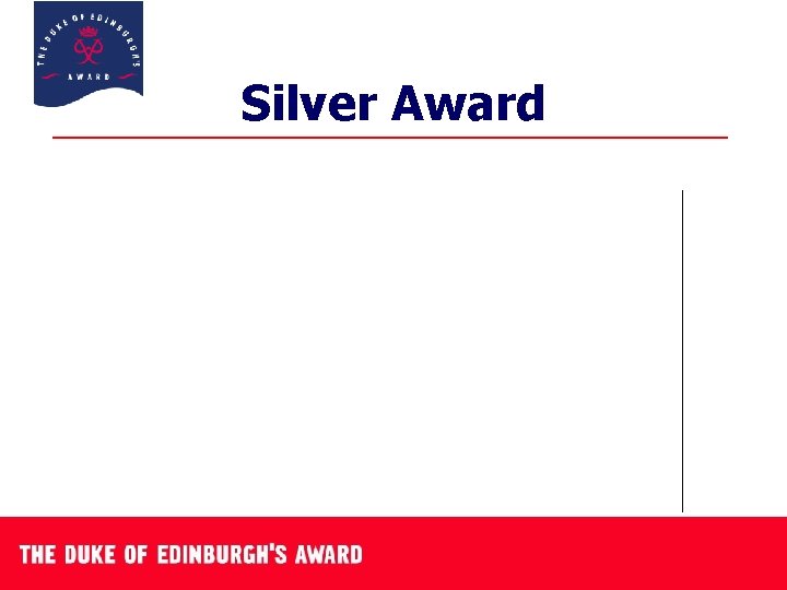 Silver Award 