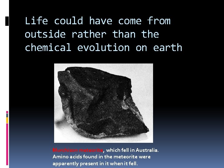 Life could have come from outside rather than the chemical evolution on earth Murchison