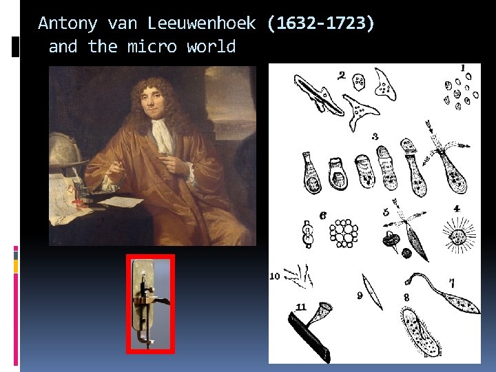 Antony van Leeuwenhoek (1632 -1723) and the micro world 