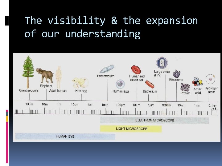 The visibility & the expansion of our understanding 