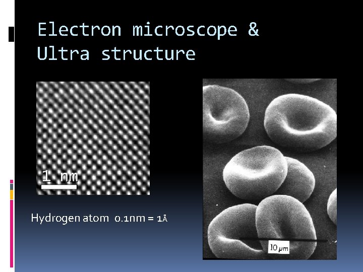 Electron microscope & Ultra structure Hydrogen atom 0. 1 nm = 1Å 