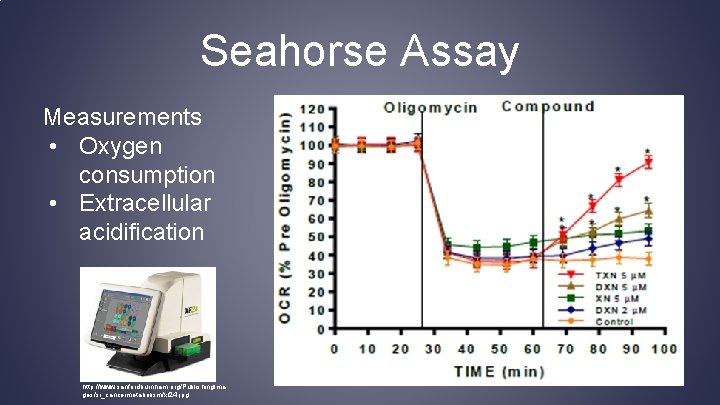 Seahorse Assay Measurements • Oxygen consumption • Extracellular acidification http: //www. sanfordburnham. org/Publishing. Ima