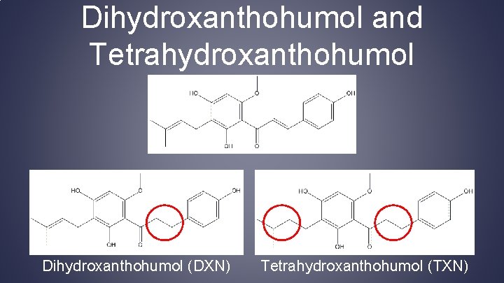 Dihydroxanthohumol and Tetrahydroxanthohumol Dihydroxanthohumol (DXN) Tetrahydroxanthohumol (TXN) 