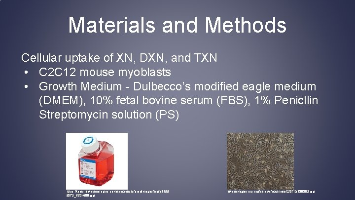 Materials and Methods Cellular uptake of XN, DXN, and TXN • C 2 C