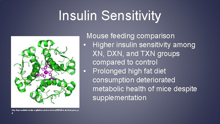 Insulin Sensitivity Mouse feeding comparison • Higher insulin sensitivity among XN, DXN, and TXN