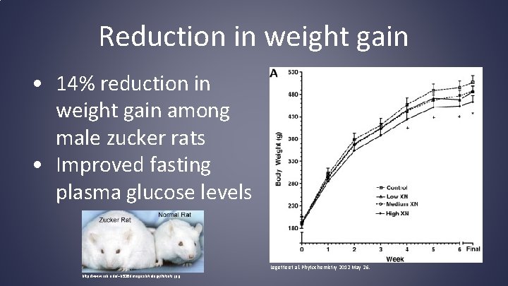 Reduction in weight gain • 14% reduction in weight gain among male zucker rats