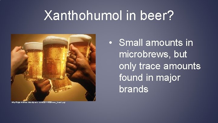 Xanthohumol in beer? • Small amounts in microbrews, but only trace amounts found in