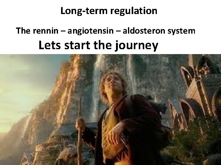Long-term regulation The rennin – angiotensin – aldosteron system Lets start the journey 