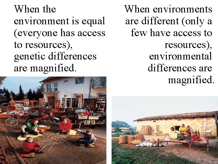 When the environment is equal (everyone has access to resources), genetic differences are magnified.