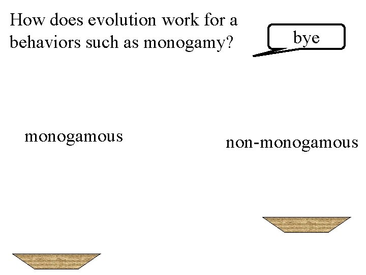 How does evolution work for a behaviors such as monogamy? monogamous bye non-monogamous 