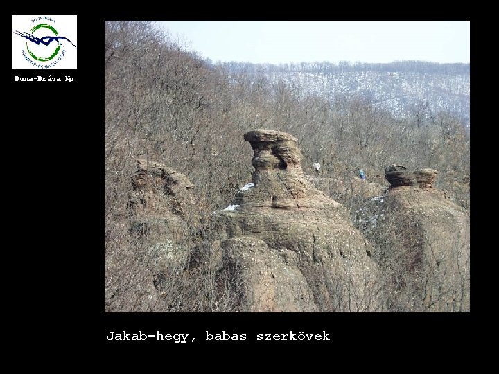 Duna-Dráva Np Jakab-hegy, babás szerkövek 