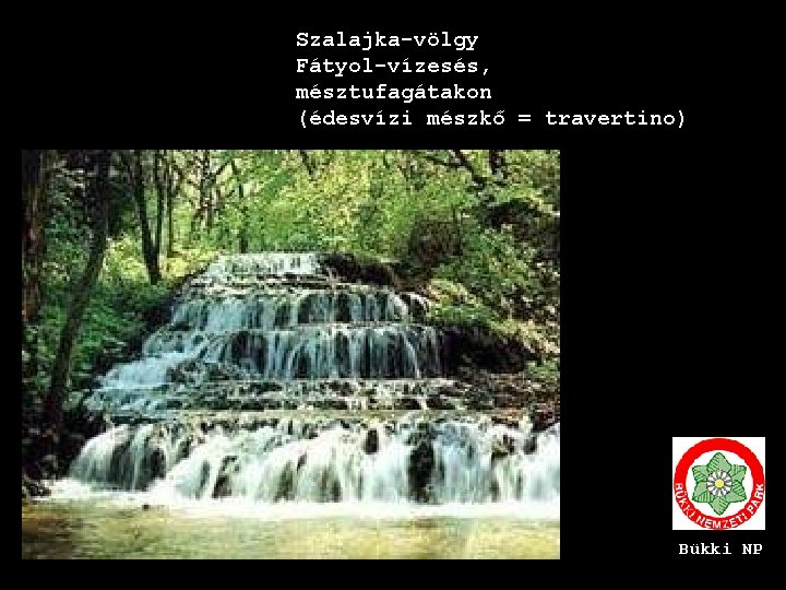 Szalajka-völgy Fátyol-vízesés, mésztufagátakon (édesvízi mészkő = travertino) Bükki NP 