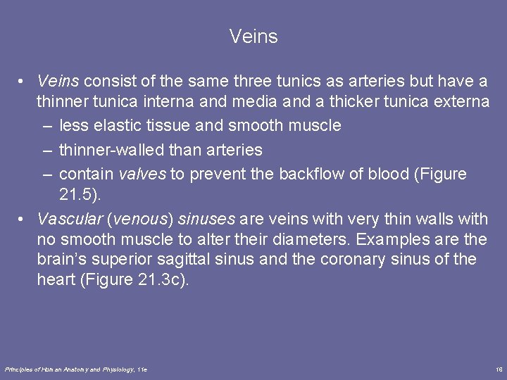 Veins • Veins consist of the same three tunics as arteries but have a Veins • Veins consist of the same three tunics as arteries but have a