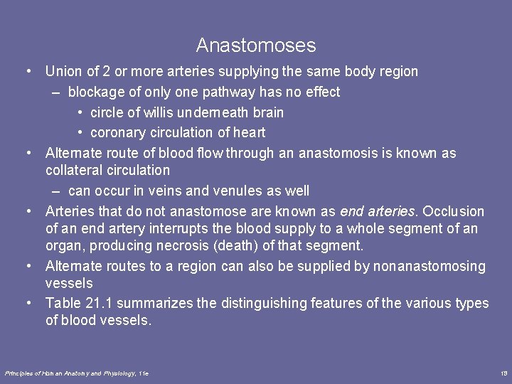 Anastomoses • Union of 2 or more arteries supplying the same body region – Anastomoses • Union of 2 or more arteries supplying the same body region –