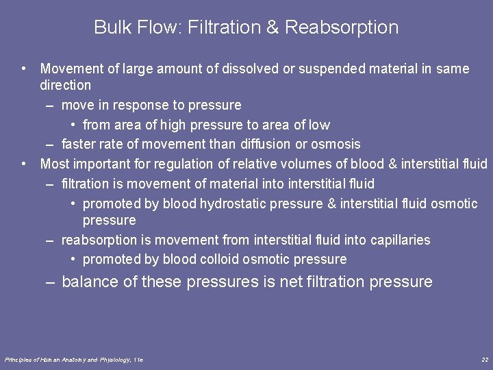 Bulk Flow: Filtration & Reabsorption • Movement of large amount of dissolved or suspended Bulk Flow: Filtration & Reabsorption • Movement of large amount of dissolved or suspended
