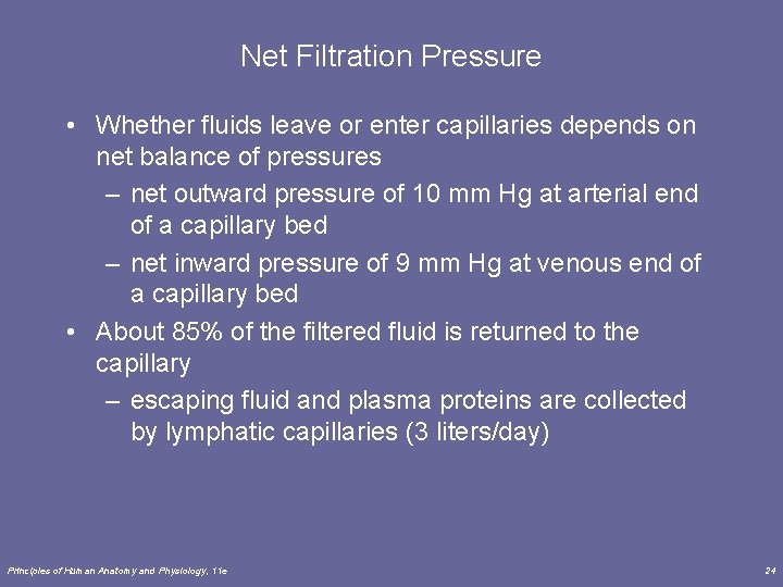 Net Filtration Pressure • Whether fluids leave or enter capillaries depends on net balance Net Filtration Pressure • Whether fluids leave or enter capillaries depends on net balance